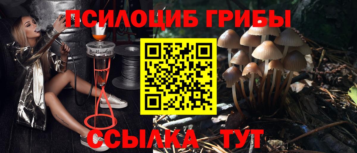 Галлюциногенные грибы Psilocybine cubensis Симферополь